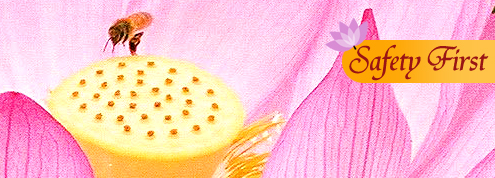 lotus Hand Production